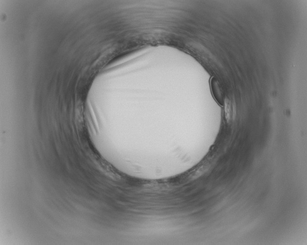 X0000074961107200609291905