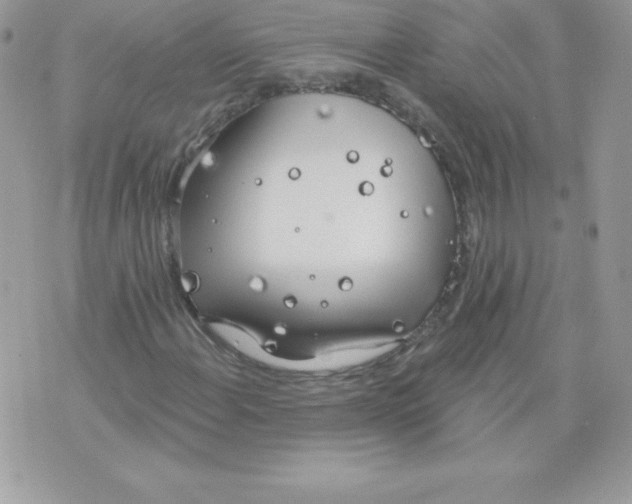 X0000074961108200609291905