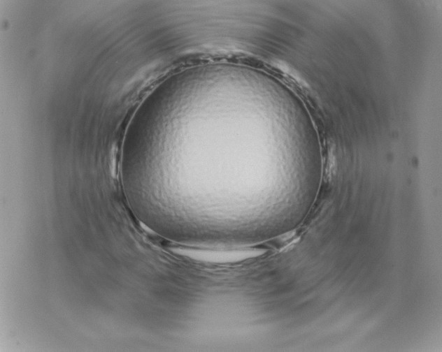 X0000074961110200609291906