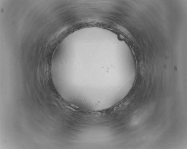 X0000074961111200609291906