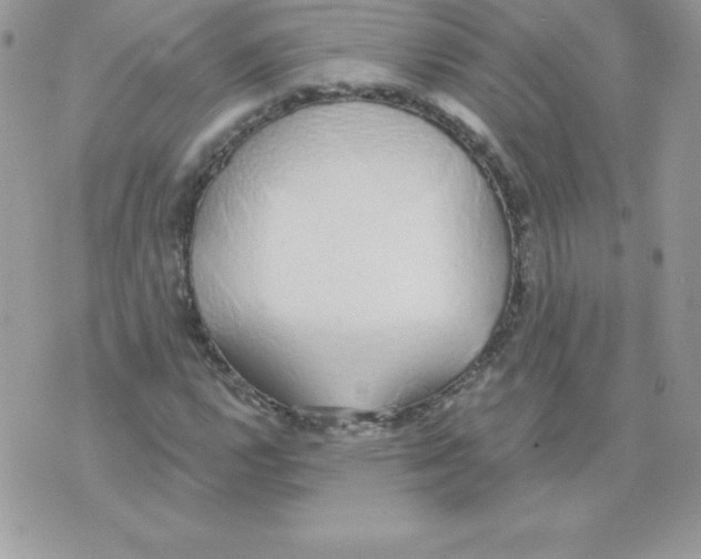 X0000074961112200609291906