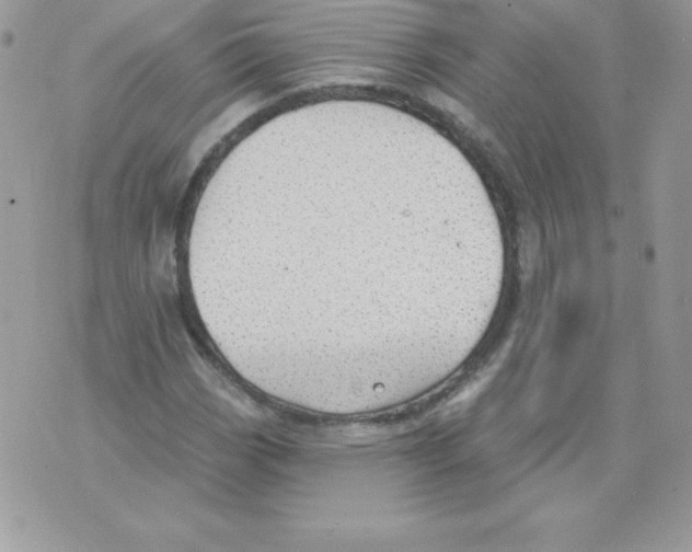 X0000074961113200609291906