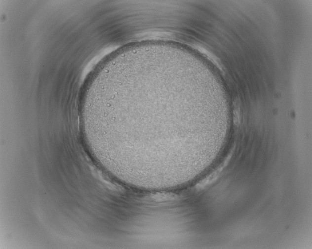 X0000074961117200609291906