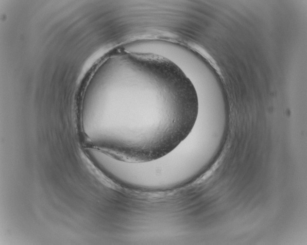 X0000074961122200609291906