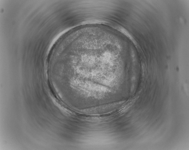 X0000074961124200609291906