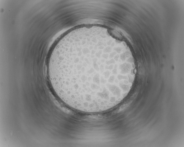 X0000074961125200609291906