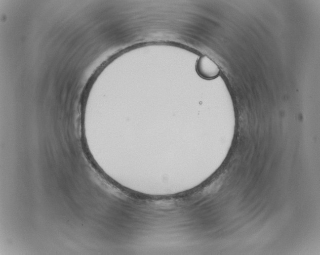 X0000074961126200609291906