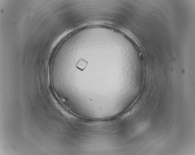 X0000074961127200609291906