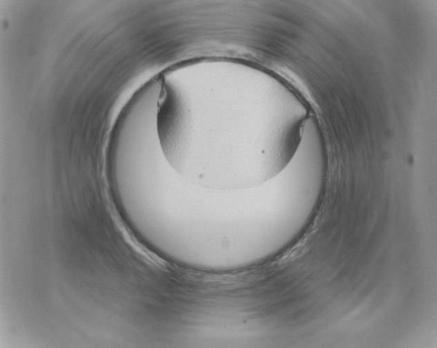 X0000074961128200609291906