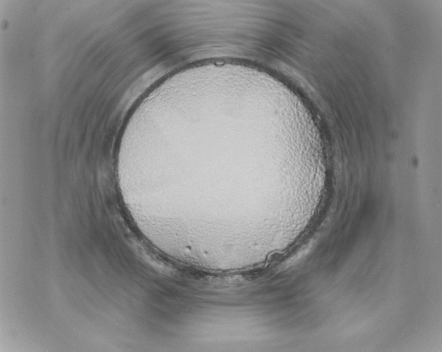 X0000074961129200609291906