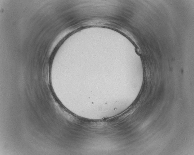 X0000074961131200609291906