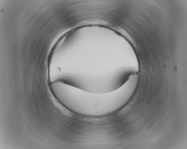 X0000074961132200609291906