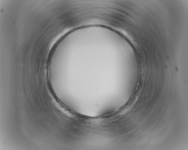 X0000074961134200609291906