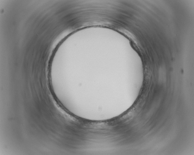 X0000074961135200609291906