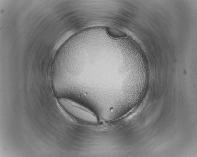 X0000074961137200609291906