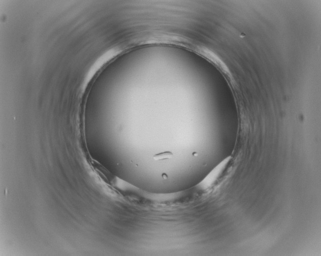 X0000074961138200609291906