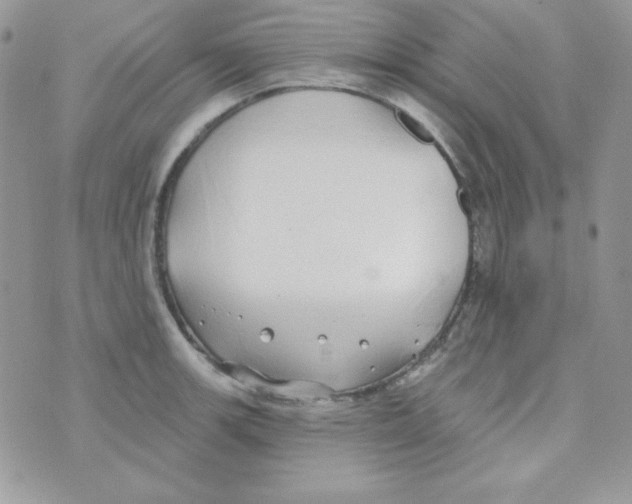 X0000074961139200609291906