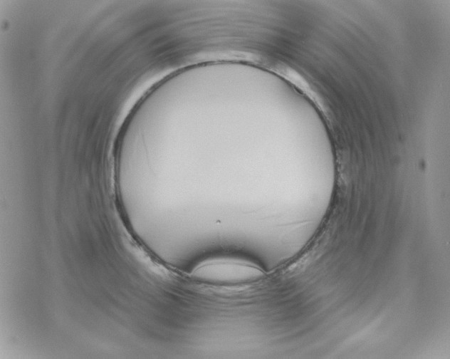 X0000074961140200609291906