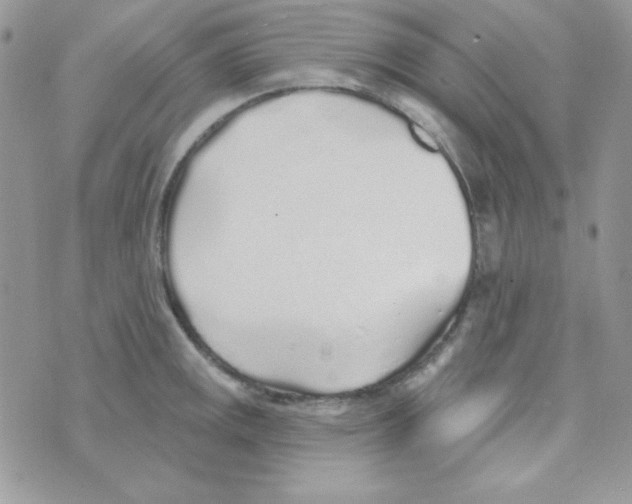 X0000074961141200609291906