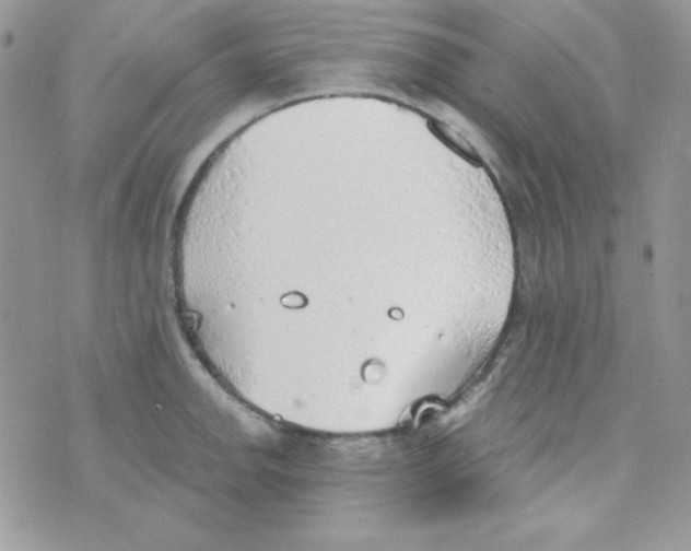 X0000074961142200609291906