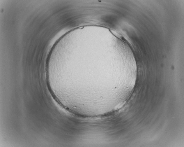 X0000074961143200609291906