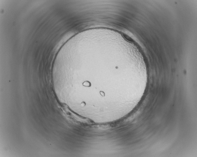 X0000074961145200609291906