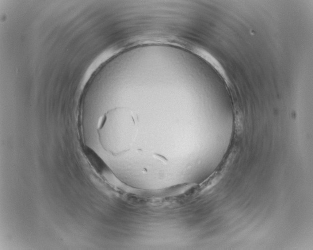 X0000074961146200609291906