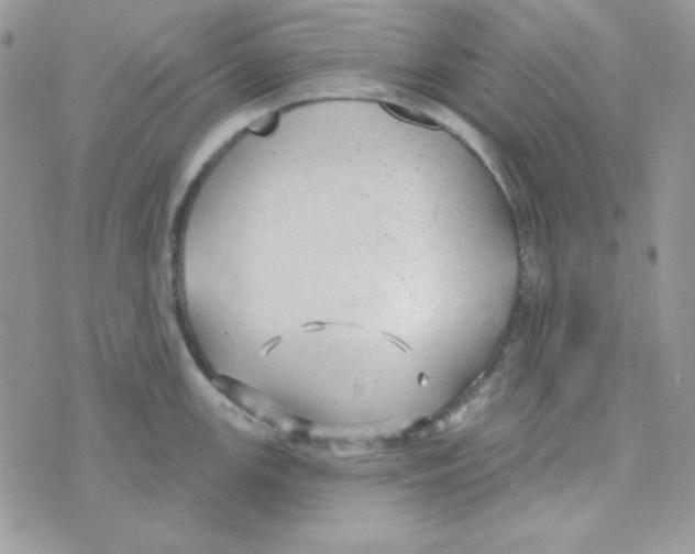 X0000074961147200609291906