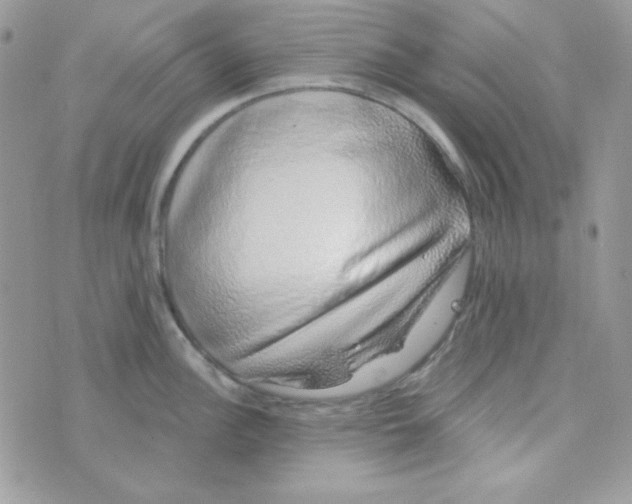 X0000074961148200609291906