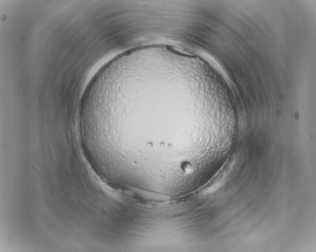 X0000074961149200609291906