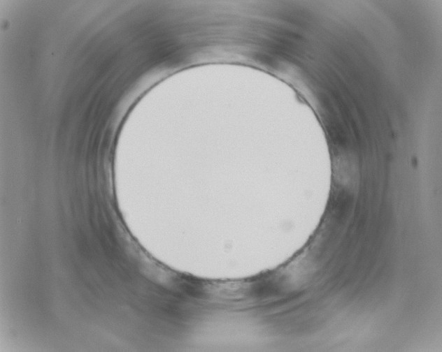 X0000074961150200609291906