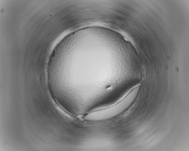 X0000074961151200609291906