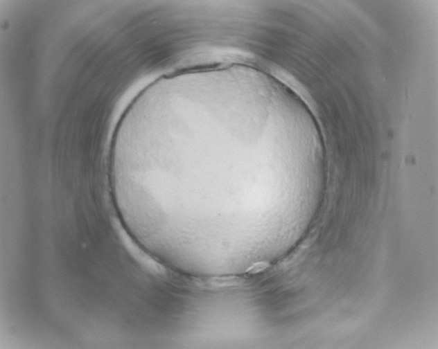 X0000074961152200609291906