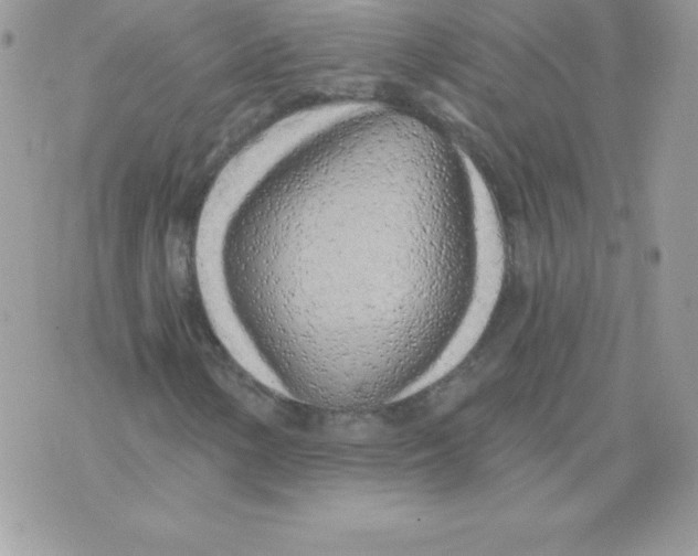 X0000074961154200609291905