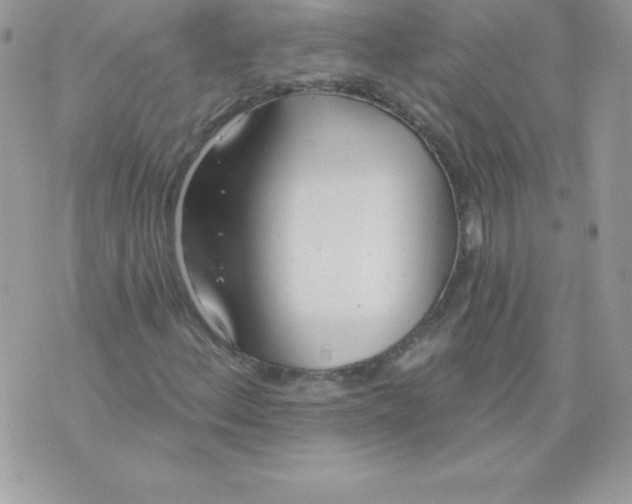 X0000074961156200609291905