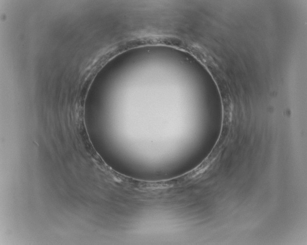 X0000074961157200609291905