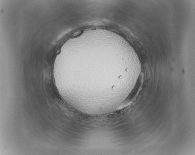 X0000074961158200609291905