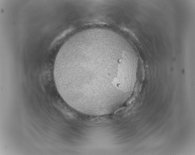 X0000074961159200609291905