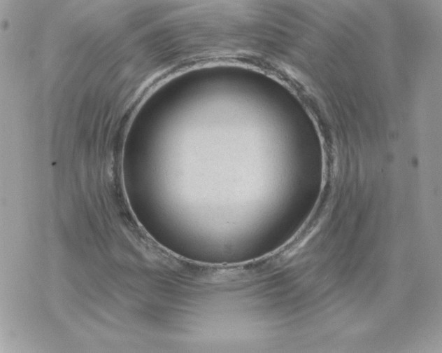 X0000074961161200609291905