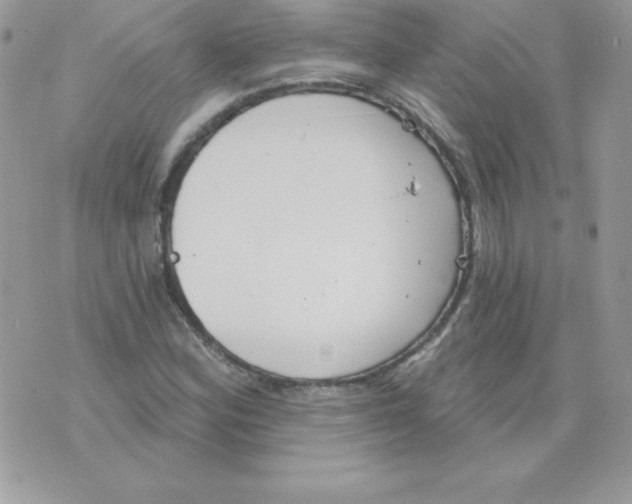 X0000074961164200609291905