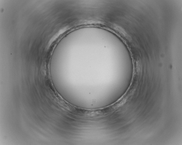 X0000074961165200609291905