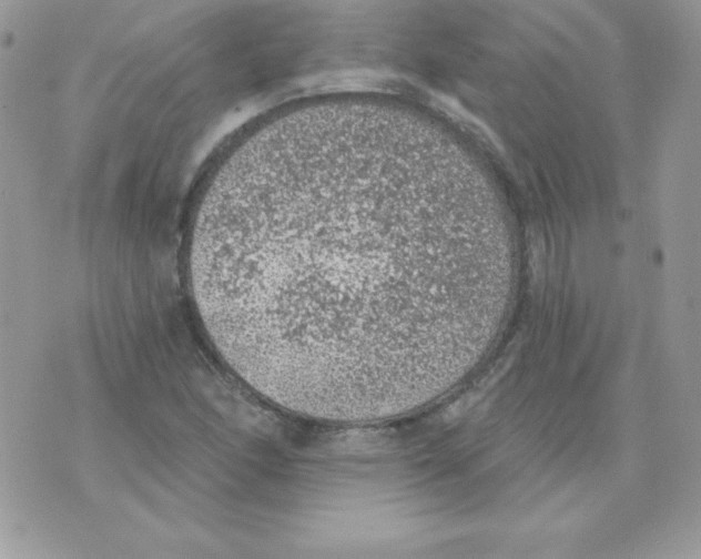 X0000074961166200609291905