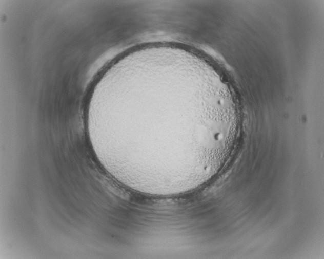 X0000074961167200609291905