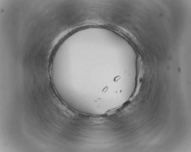 X0000074961168200609291905