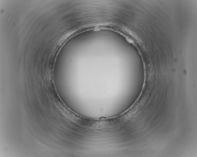 X0000074961169200609291905