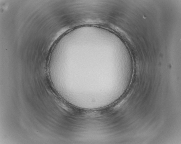 X0000074961170200609291905