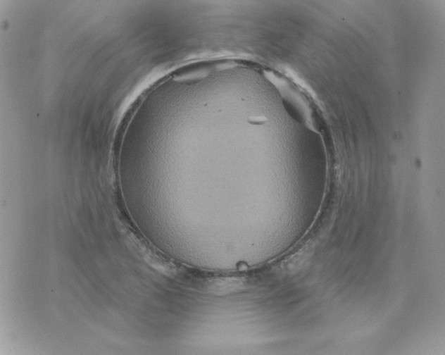 X0000074961173200609291905