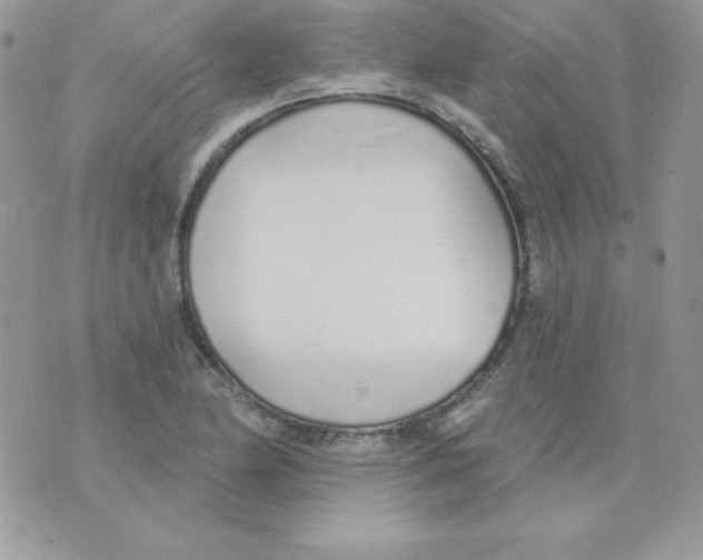 X0000074961174200609291905