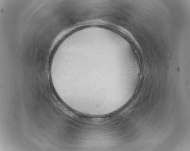 X0000074961176200609291905