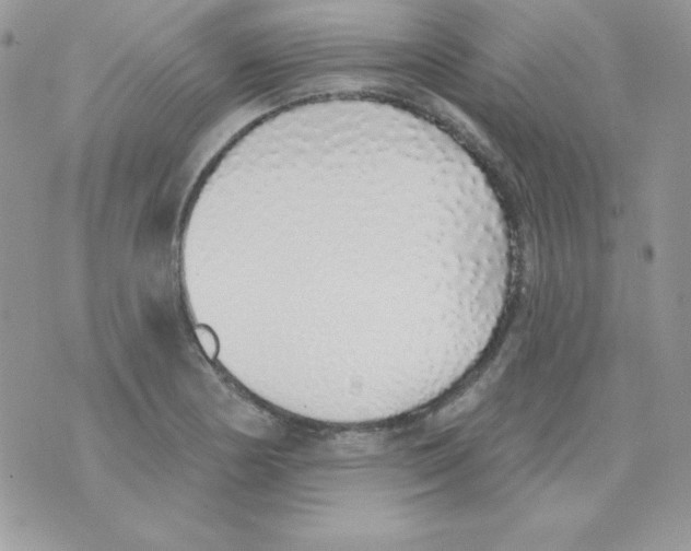 X0000074961178200609291905